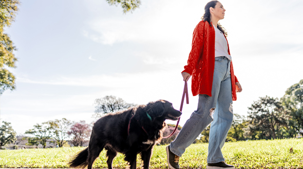 Fortalece tus operaciones digitales 