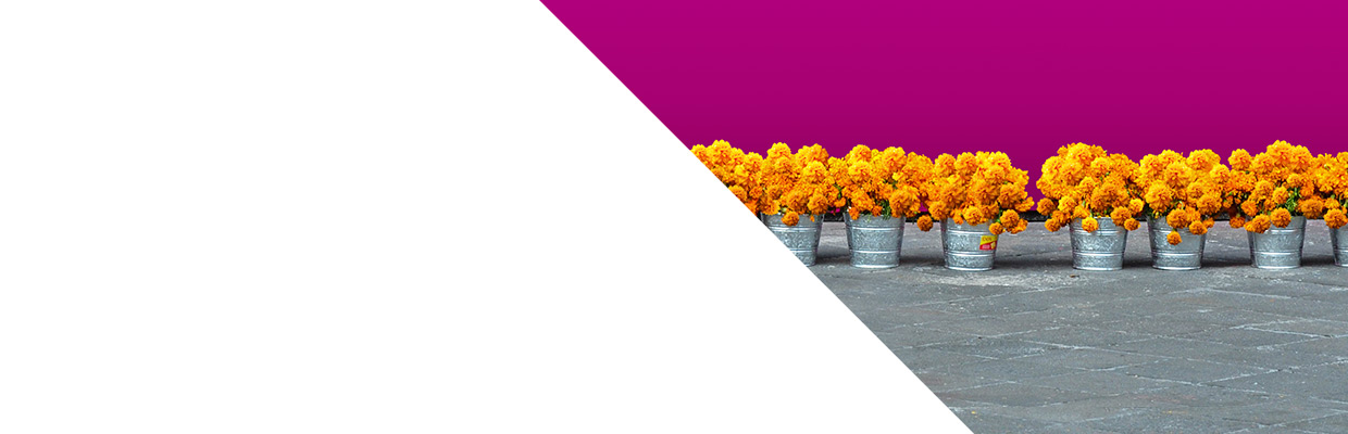 HSBC Digital – HSBC México