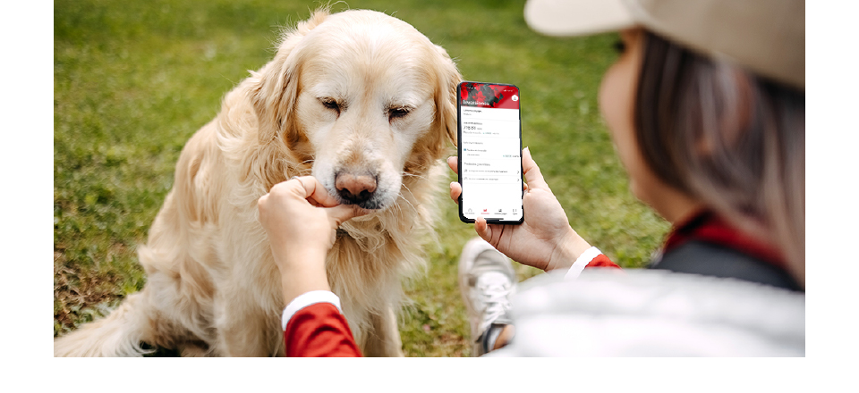 Aprovecha tu aguinaldo y hazlo crecer