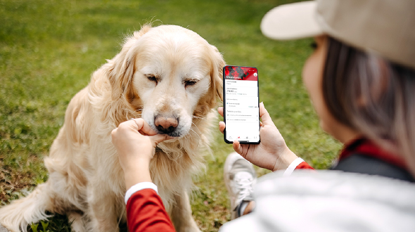 Haz crecer tu aguinaldo esta temporada